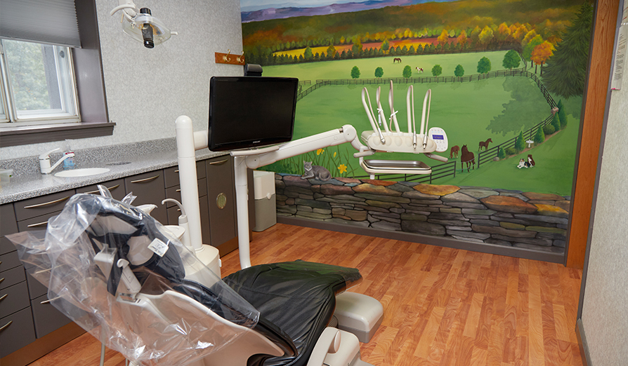 Dental treatment room with nature mural on wall