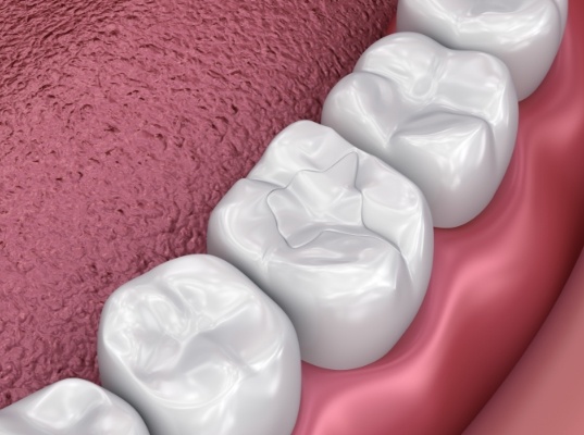 Illustrated close up of row of teeth